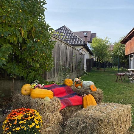 Grandma'S Cottage Sacele Exterior photo